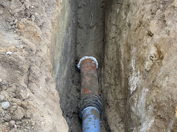 Best Flood damage cleanup  in Odessa, MO
