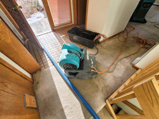 Trusted Odessa, MO Water damage restoration Experts