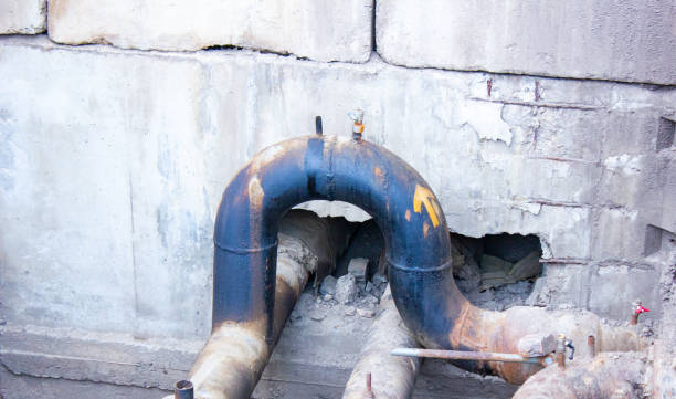 Best Local water damage restoration  in Odessa, MO