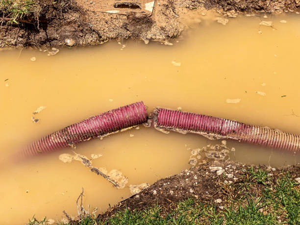 Best Water damage cleanup near me  in Odessa, MO